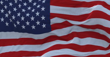 Amerika Birleşik Devletleri bayrağını sallayan.