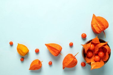 Mavi arka planda çiçekli ve turuncu renkli böğürtlenli kompozisyon. Üst görünüm, alanı kopyala