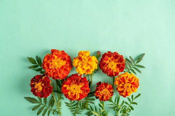 Orange Ringblomma Blommor Grön Bakgrund Ovanifrån Kopiera Utrymme — Stockfoto
