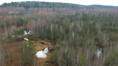 Bataklık ve ormanın havadan panoramik manzarası, ve sonbahar sabahında bazı kır evleri doğal bir yerde. İnsansız hava aracı ağaçların ve suların üzerinde uçuyor. Yüksek kaliteli FullHD görüntüler