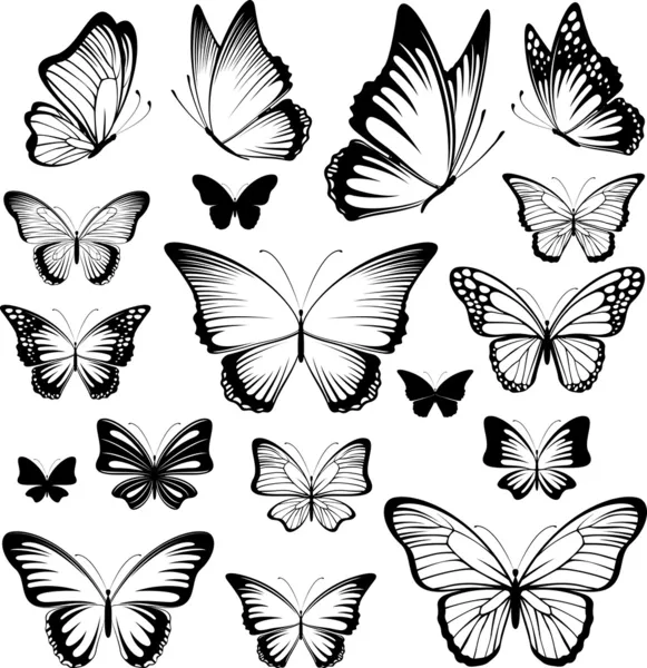 Silhuetas de vetor de borboleta —  Vetores de Stock