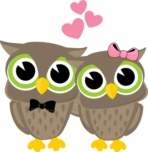 Lindo amor aves búhos — Vector de stock