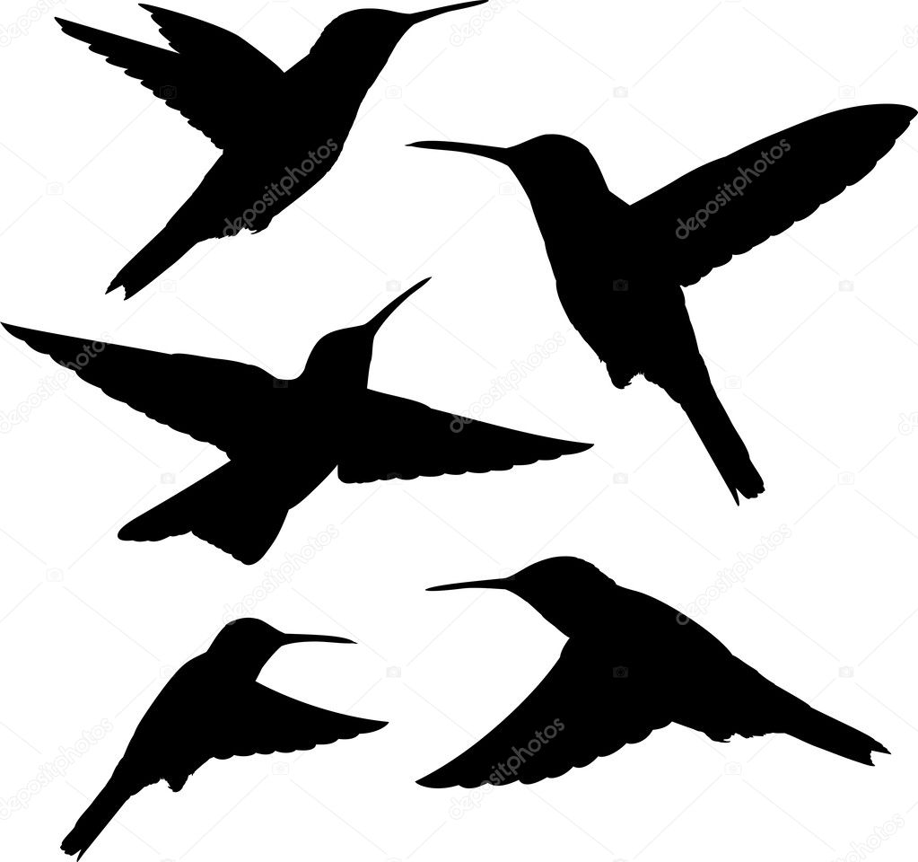Hummingbird silhouettes vector