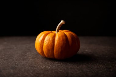 Siyah arka planı olan küçük turuncu balkabağı. Balkabakları ticari kullanım ve gıda, estetik ve eğlence amaçlı olarak yaygın olarak yetiştirilir. Şükran Günü ve Cadılar Bayramı süslemelerinde çok tüketilir.