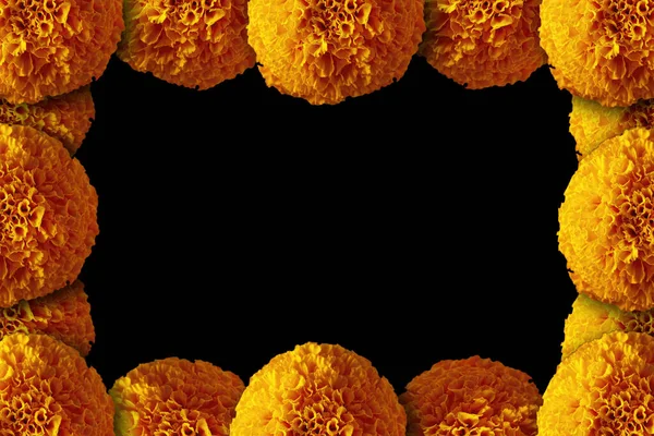 Frame Cempasuchil Orange Flowers Marigold Tagetes Erecta Traditionally Used Altars — Stock Photo, Image