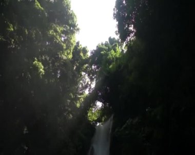 kasaroro şelale. Negros Adası. Filipinler.