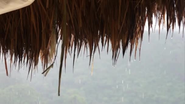 Gotas de chuva caindo do telhado de juncos . — Vídeo de Stock