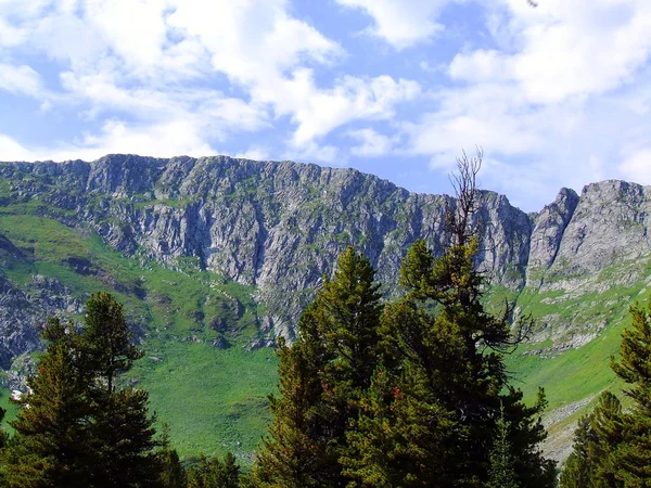 güzel manzara dağlarda. Sibirya. sayan Dağları.