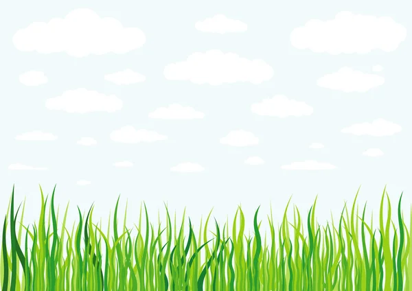 Grass clouds and sky background — Stock Vector