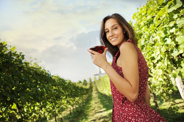 Vinho tinto — Fotografia de Stock