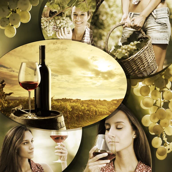 Wine and vineyard — Stock Photo, Image