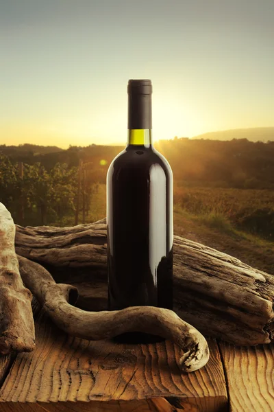 Вино и виноградник — стоковое фото