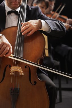 Klasik müzik, çellist ve kemancı