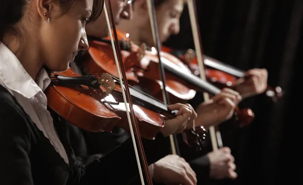 Violinistas em concerto — Fotografia de Stock