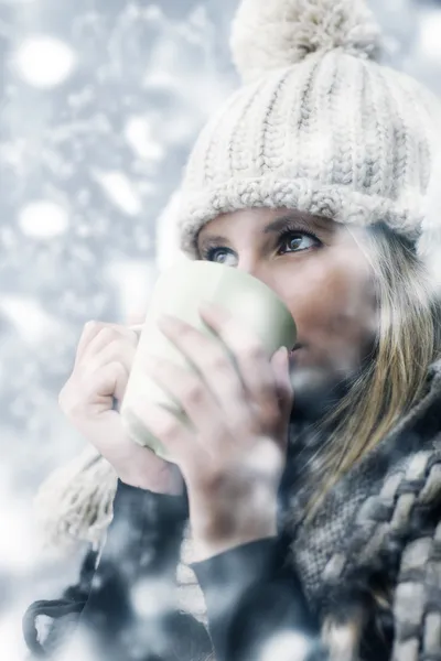 Snöig dag — Stockfoto