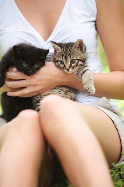 Adoro gatos.! — Fotografia de Stock