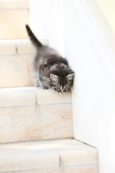 First steps — Stock Photo, Image