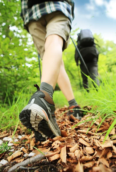 Nordic walking legs in mountains — Stock Photo, Image