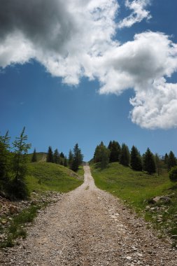 üst doğru