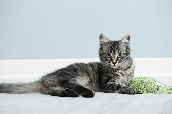 Gatito juguetón —  Fotos de Stock