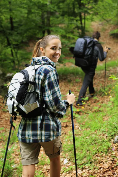 Two nordic walkers — Stock Photo, Image