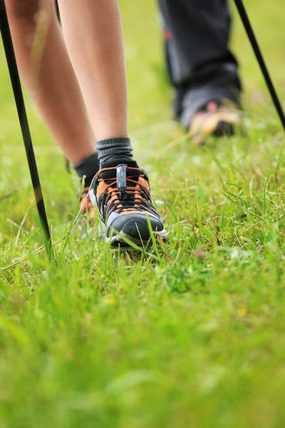 Nordic walking legs in mountains