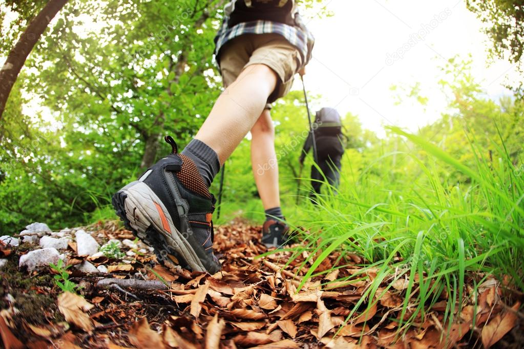 Nordic walking legs in mountains