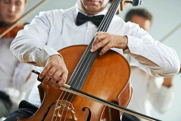 Konser musik klasik — Stok Foto