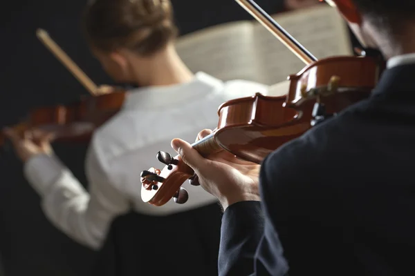 Classical music: concert — Stock Photo, Image