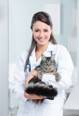 sağlıklı kedi