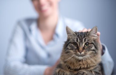 Kedi ve kadın