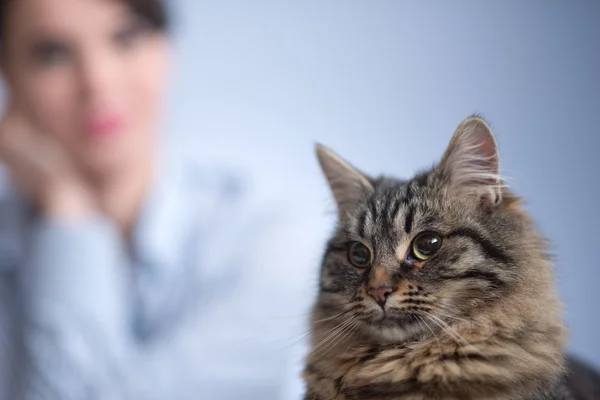 Cat and woman — Stock Photo, Image