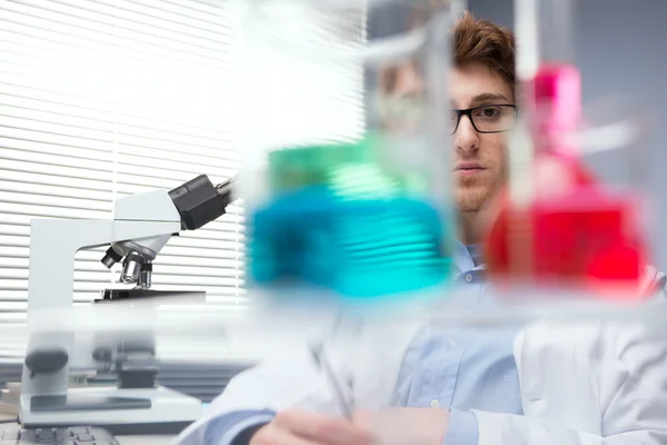 Forscher bei der Arbeit — Stockfoto