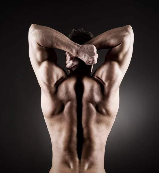 Muscular back — Stock Photo, Image