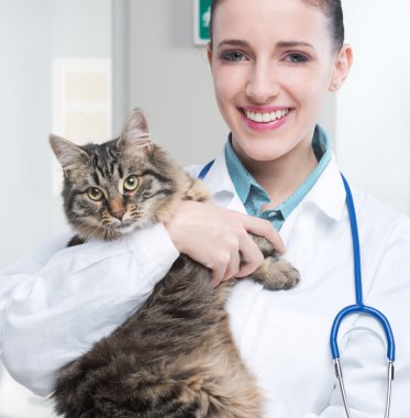 Veteriner ve kedi