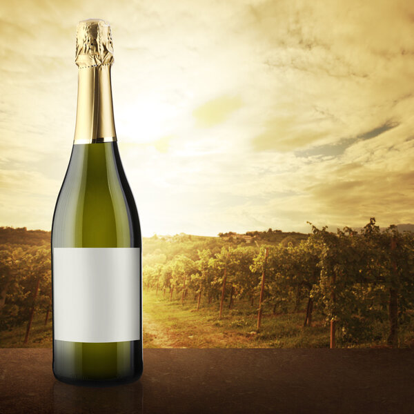 White wine bottle with vineyard