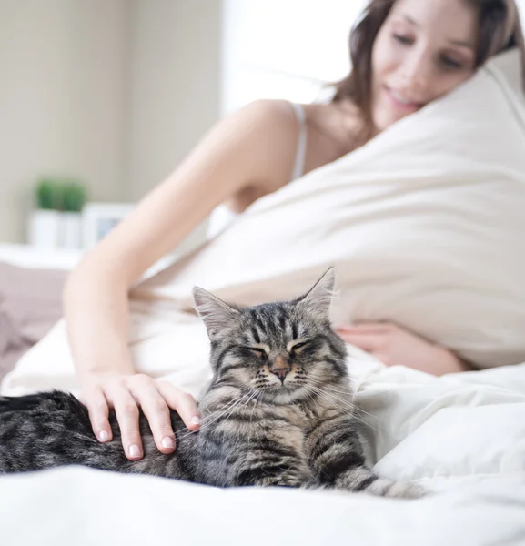 Nainen kissan kanssa — kuvapankkivalokuva