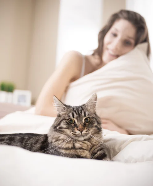 Mulher com gato — Fotografia de Stock