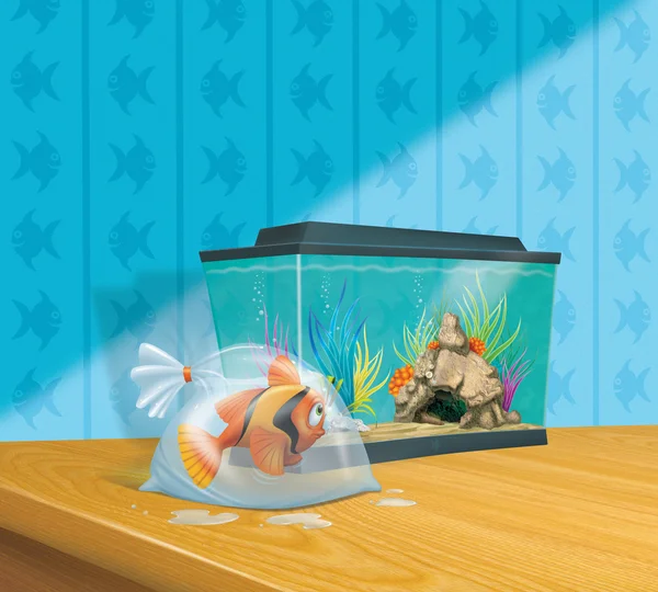 Cute goldfish and aquarium — Stock Photo, Image