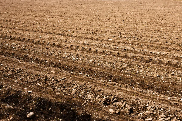 Freshly ploughed field — Stock Photo, Image