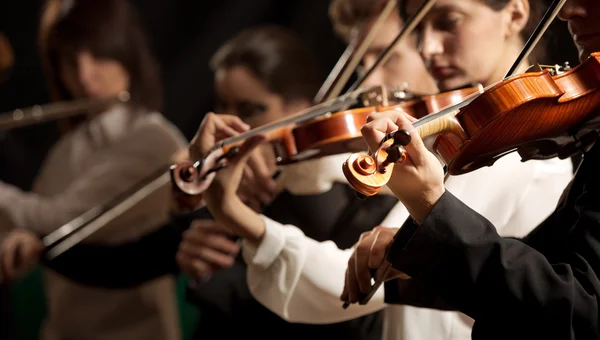 Symphony orchestra violinists performing — Stock Photo, Image