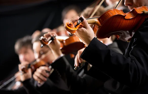 Première section pour violon de l'orchestre — Photo