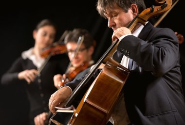 Symphony orchestra performance: celloist close-up clipart