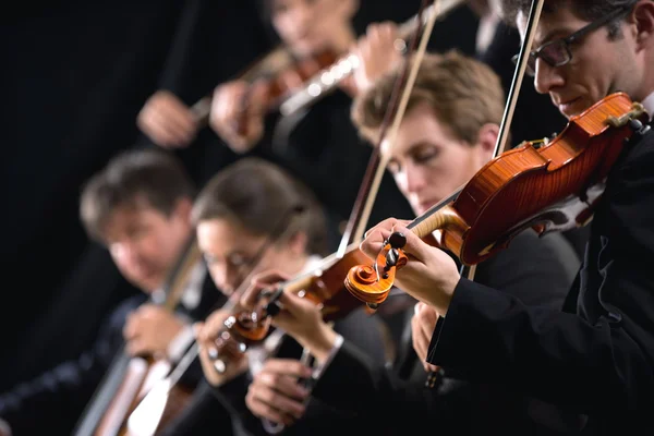 オーケストラの最初のバイオリン セクション — ストック写真