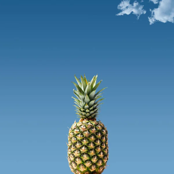 背景に新鮮なパイナップルと夏の青空 健康的な食事のコンセプト コピースペース — ストック写真