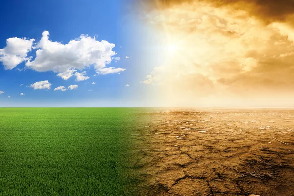 Campo Prado Verde Com Sol Nuvens Conceito Mudança Climática Clima — Fotografia de Stock