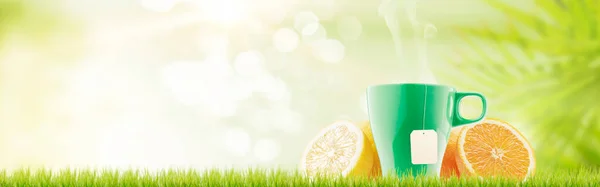 茶在一杯中酿制 柑橘类水果在草上 健康天然茶的概念 — 图库照片