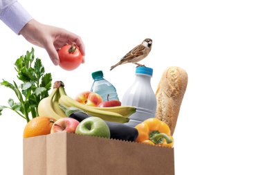 Kadın alışveriş poşetine taze domates koyuyor ve beyaz arka planda izole edilmiş şirin bir kuş: sağlıklı doğal market alışveriş kavramı.