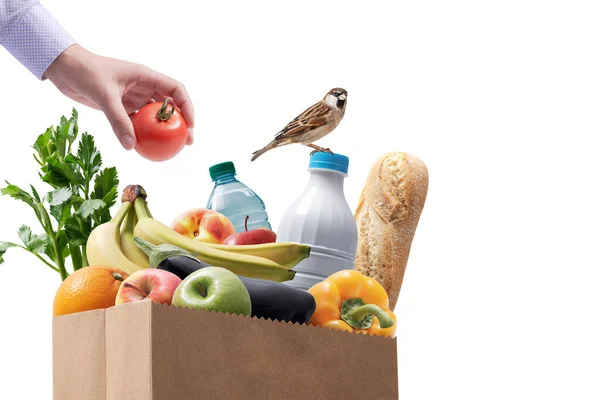 Mulher Colocando Tomate Fresco Saco Compras Pássaro Bonito Isolado Fundo — Fotografia de Stock