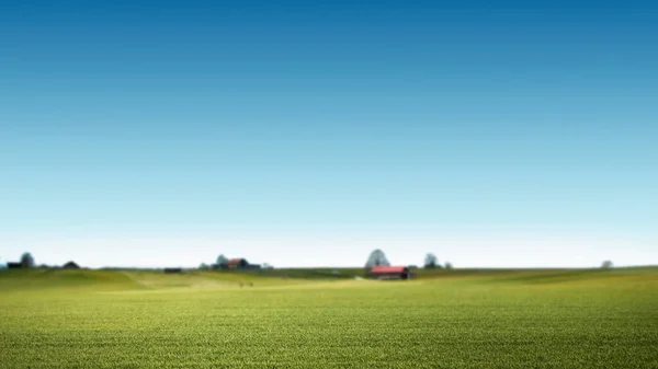 Saftig Grünes Gras Bauernhof Und Blauer Sommerhimmel Hintergrund — Stockfoto